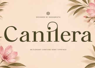 Canilera – Luxury Ligature Serif Font preview image 1