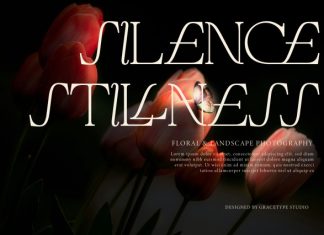 Cardelo Elegant Serif Font preview image 3