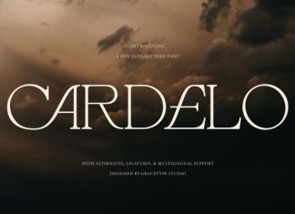 Cardelo Elegant Serif Font preview image 1