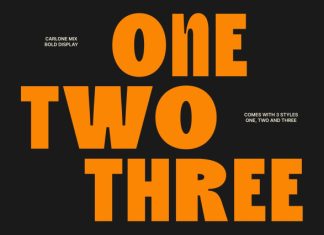 Carlone Mix Font preview image 3