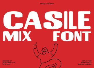 Casile Mix Font preview image 1