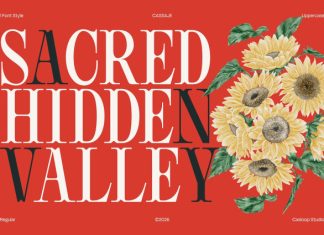 Cassaje – One Case Endless Presence Font preview image 3