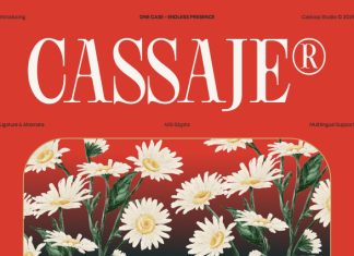 Cassaje – One Case Endless Presence Font preview image 1