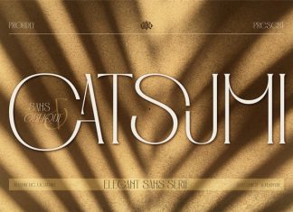 Catsumi – Elegant San Serif Font preview image 1