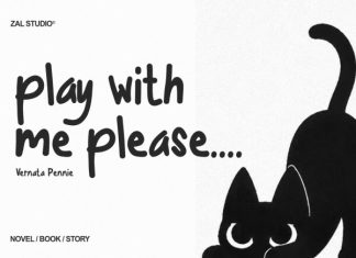 Cattyer – Display Handwritten Font preview image 2