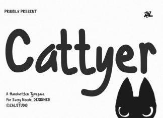 Cattyer – Display Handwritten Font preview image 1