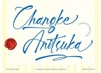 Changke Anitsuka – Handwritten Ink Font preview image 1