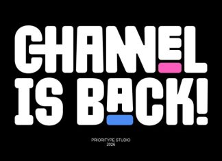 Channel Is Back Font preview image 1