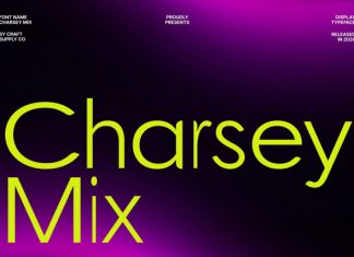 Charsey Mix Font preview image 1