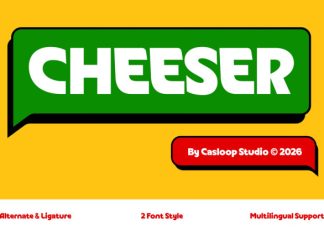 Cheeser – Stylistic Display Font preview image 1