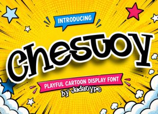 Chestoy – Fun & Friendly Slab Serif Font preview image 1