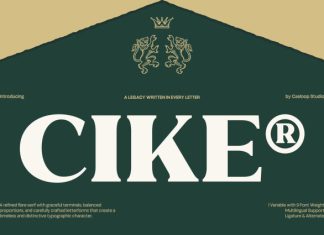 Cike – Flare Luxury Sans Typeface Font preview image 1