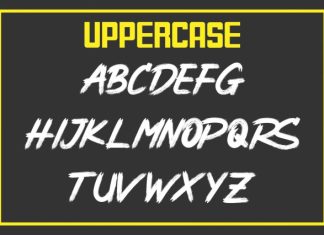 Coffee Fighter – Brush Grunge Font preview image 2