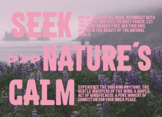 Comfort Font preview image 2