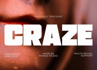 Craze – Condensed Sans Serif Font preview image 1