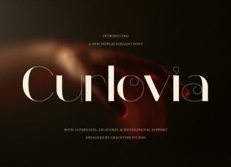 Curlovia Display Elegant Font preview image 1