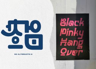 Daehyonse – Korean Font Style preview image 3