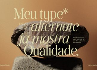 Dalven Goofler – Vintage Elegant Font preview image 3
