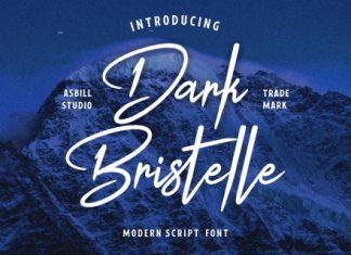 Dark Bristelle Font preview image 1