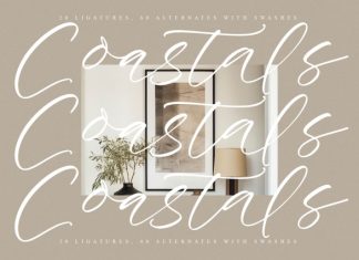 Daylight Beauty Font preview image 3