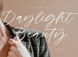 Daylight Beauty Font preview image 1