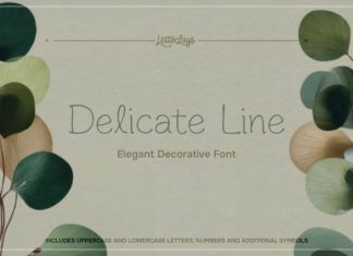 Delicate Line Font preview image 1