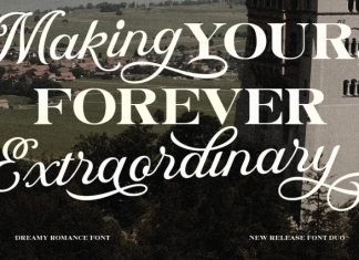 Dreamy Romance Editorial Font preview image 3