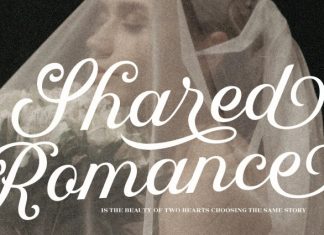 Dreamy Romance Editorial Font preview image 2