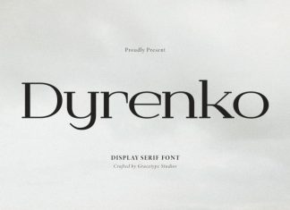 Dyrenko Display Serif Font preview image 1
