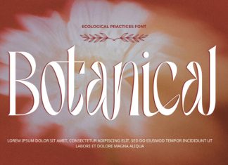 Ecological Practices – Elegant Serif Font preview image 3
