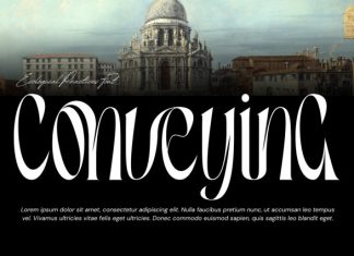 Ecological Practices – Elegant Serif Font preview image 2
