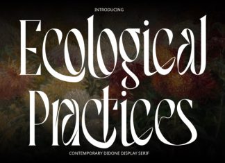 Ecological Practices – Elegant Serif Font preview image 1