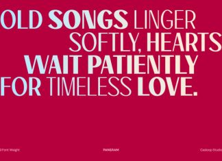 Fagi – Classic Valentine Serif Font preview image 2