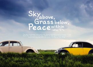 Fairy Silk Handwritten Font preview image 3