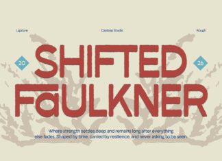 Falkenberg – Vintage Rough Display Font preview image 2