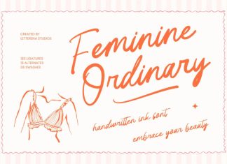Feminine Ordinary – Handwritten Ink Font preview image 1