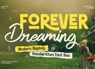 Forever Dreaming Font preview image 1