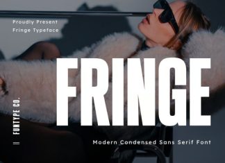 Fringe – Modern Condensed Sans Serif Font preview image 1