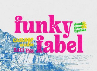 Funky Fabel Groovy Retro Typeface Font preview image 1