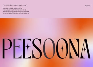Gage EXO Elegant Display Font preview image 3
