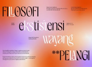 Gage EXO Elegant Display Font preview image 2