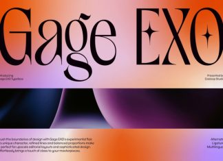 Gage EXO Elegant Display Font preview image 1