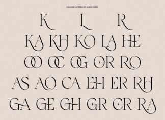 Galvore – Elegant Ligatures Font preview image 3
