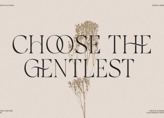 Galvore – Elegant Ligatures Font preview image 2