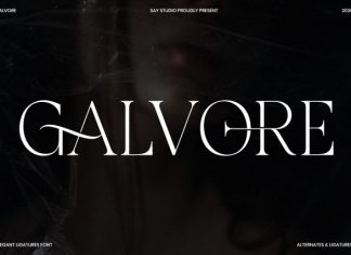 Galvore – Elegant Ligatures Font preview image 1