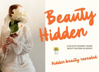 Gentle Pause – Modern Brush Font preview image 3