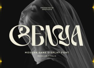 Genya – Bold Modern Display Font preview image 1