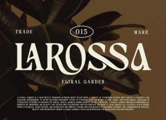 Gilgans Classic Serif Typeface Font preview image 3