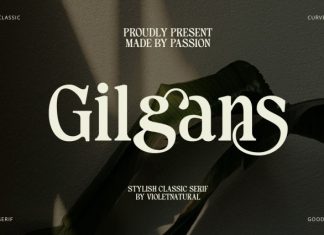 Gilgans Classic Serif Typeface Font preview image 1