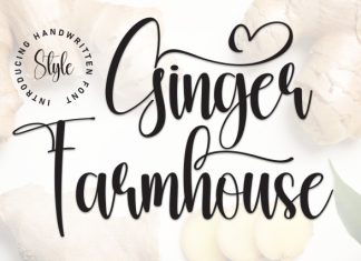 Ginger Farmhouse Font preview image 1
